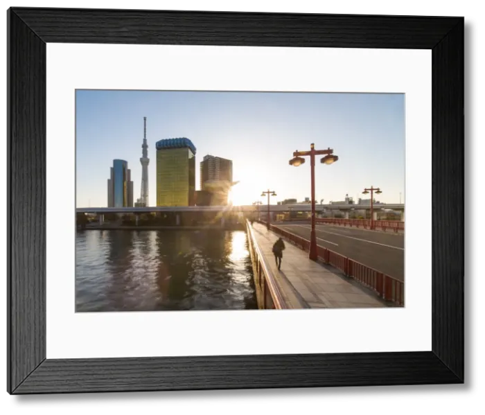 Framed Print : City skyline and the Skytree on the Sumida River at dawn, Tokyo, Japan, Asia Framed Print : City skyline and the Skytree on the Sumida River at dawn, Tokyo, Japan, Asia