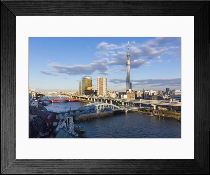 Framed Print : City skyline and Skytree on the Sumida River, Tokyo, Japan, Asia Framed Print : City skyline and Skytree on the Sumida River, Tokyo, Japan, Asia