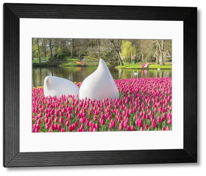 Framed Print : Bulblike sculpture and pink tulips at Keukenhof Gardens, Lisse, South Holland province Framed Print : Bulblike sculpture and pink tulips at Keukenhof Gardens, Lisse, South Holland province