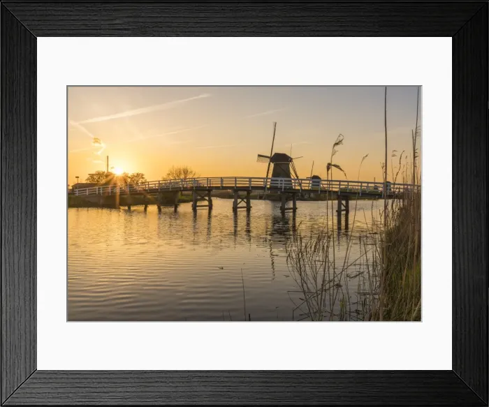 Framed Print : Bridge over the canal with windmills and reeds in the foreground at sunset, Kinderdijk