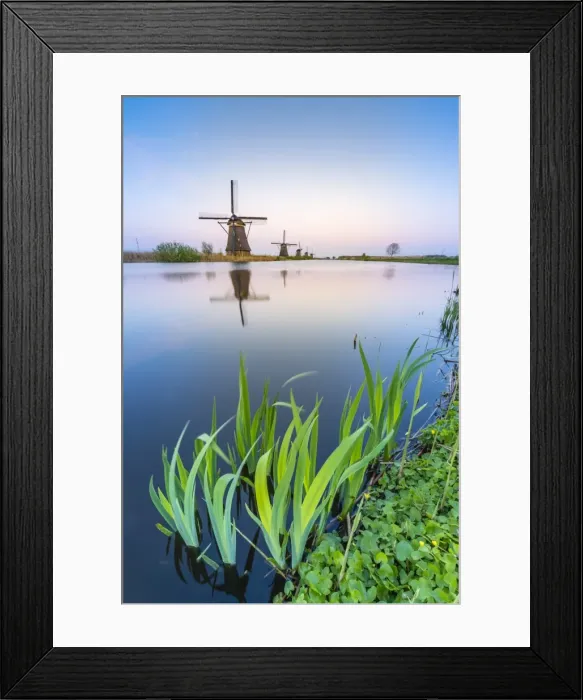 Framed Print : Windmills on the canal and grass in the foreground, Kinderdijk, UNESCO World Heritage Site Framed Print : Windmills on the canal and grass in the foreground, Kinderdijk, UNESCO World Heritage Site