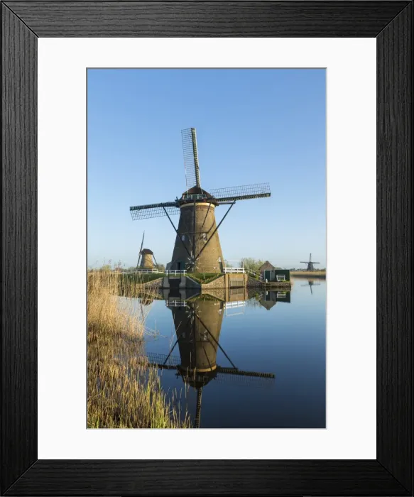 Framed Print : Windmills, Kinderdijk, UNESCO World Heritage Site, Netherlands, Europe Framed Print : Windmills, Kinderdijk, UNESCO World Heritage Site, Netherlands, Europe