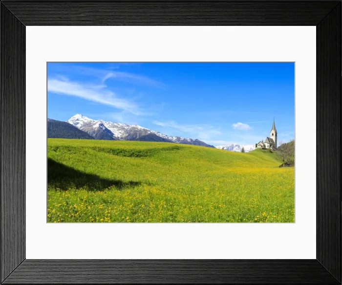 Framed Print : Panoramic of valley covered with yellow flowers, Schmitten, District of Albula, Canton Framed Print : Panoramic of valley covered with yellow flowers, Schmitten, District of Albula, Canton