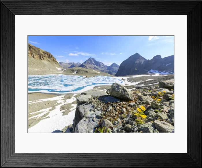 Framed Print : Lej Lagrev during the thaw with Piz Polatschin on the background St. Moritz, Engadine Framed Print : Lej Lagrev during the thaw with Piz Polatschin on the background St. Moritz, Engadine