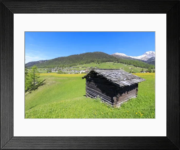 Framed Print : Alpine hut in the green meadows, Davos Wiesen, Canton of Graubunden, Prettigovia Davos Region Framed Print : Alpine hut in the green meadows, Davos Wiesen, Canton of Graubunden, Prettigovia Davos Region