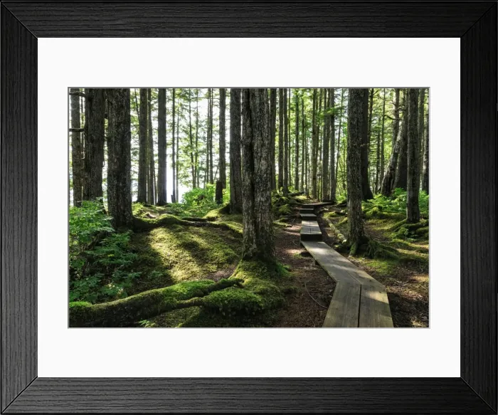 Framed Print : Mount Dewey trail, Wrangell, outback pioneer port and fishing community, gateway to Stikine River Framed Print : Mount Dewey trail, Wrangell, outback pioneer port and fishing community, gateway to Stikine River
