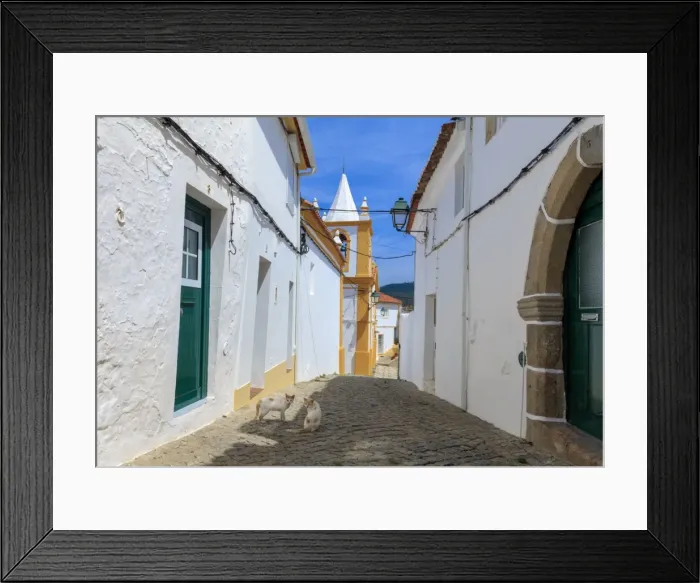 Framed Print : Two cats in a back street in Alegrete, a medieval walled village bordering Spain Framed Print : Two cats in a back street in Alegrete, a medieval walled village bordering Spain