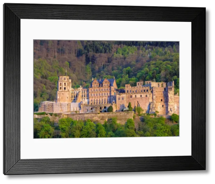 Framed Print : Heidelberg Castle above the Altstadt (Old Town), Heidelberg, Baden-Wurttemberg, Germany Framed Print : Heidelberg Castle above the Altstadt (Old Town), Heidelberg, Baden-Wurttemberg, Germany
