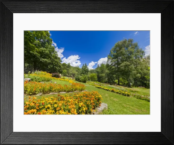 Framed Print : Giardino Botanico Maria Ansaldi Pania di Corfino, Orecchiella National Park, Garfagnana Framed Print : Giardino Botanico Maria Ansaldi Pania di Corfino, Orecchiella National Park, Garfagnana