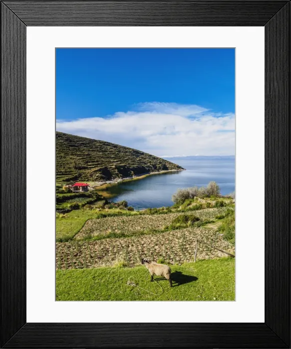 Framed Print : Island of the Sun, Titicaca Lake, La Paz Department, Bolivia, South America Framed Print : Island of the Sun, Titicaca Lake, La Paz Department, Bolivia, South America