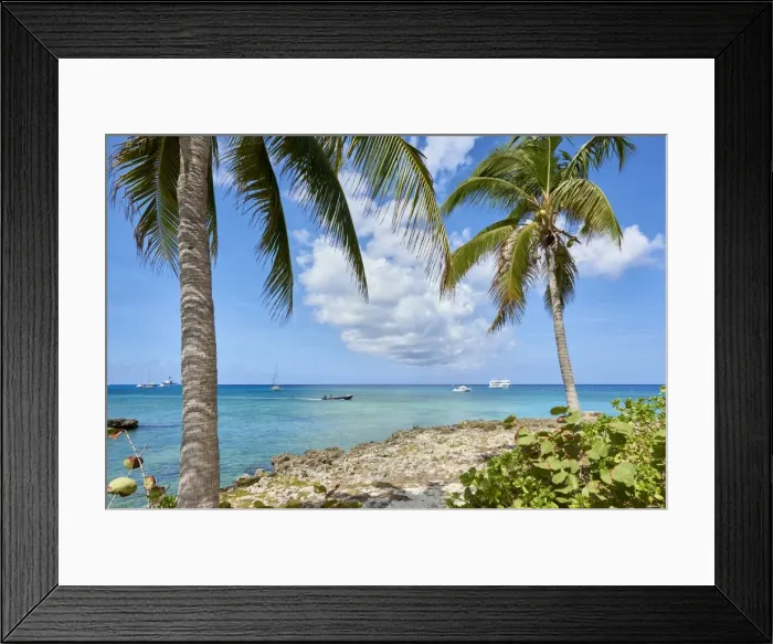 Framed Print : Turquoise water framed by coconut trees, in George Town, Cayman Islands, West Indies Framed Print : Turquoise water framed by coconut trees, in George Town, Cayman Islands, West Indies