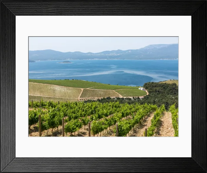 Framed Print : Coastal winery on the hills of the Dalmatian Coast, Croatia, Europe Framed Print : Coastal winery on the hills of the Dalmatian Coast, Croatia, Europe