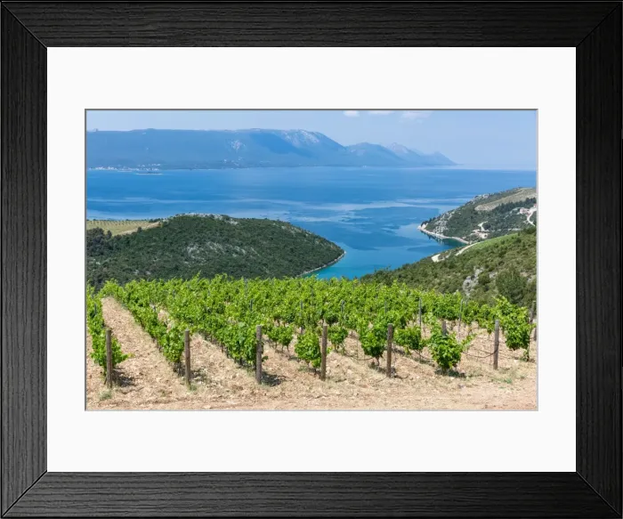Framed Print : Coastal winery on the hills of the Dalmatian Coast, Croatia, Europe Framed Print : Coastal winery on the hills of the Dalmatian Coast, Croatia, Europe