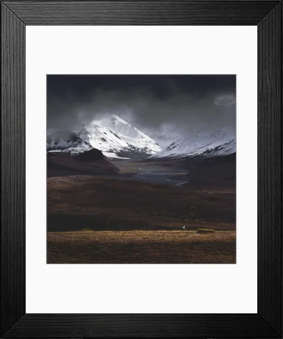 Framed Print : Hiker illuminated by a beam of sunlight after snowfall in the Denali National Park Framed Print : Hiker illuminated by a beam of sunlight after snowfall in the Denali National Park
