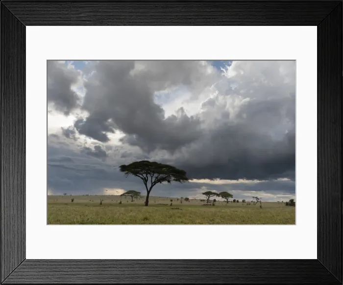 Framed Print : A cloudy sky over the plains of Tsavo, Kenya, East Africa, Africa