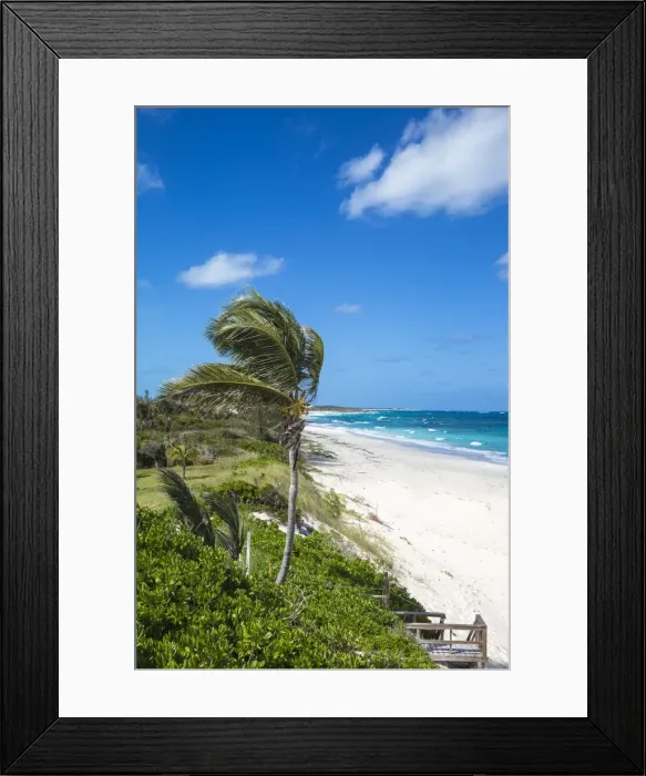 Framed Print : Beach near Nippers Bar, Great Guana Cay, Abaco Islands, Bahamas, West Indies, Central Framed Print : Beach near Nippers Bar, Great Guana Cay, Abaco Islands, Bahamas, West Indies, Central