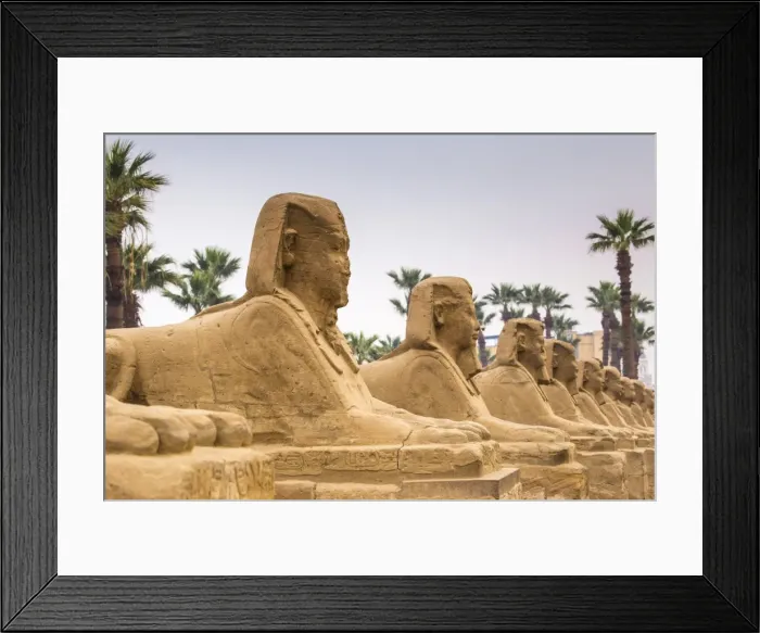 Framed Print : Avenue of Sphinxes, Luxor Temple, UNESCO World Heritage Site, Luxor, Egypt, North Africa Framed Print : Avenue of Sphinxes, Luxor Temple, UNESCO World Heritage Site, Luxor, Egypt, North Africa