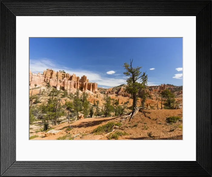 Framed Print : View of hoodoo formations from the Fairyland Trail in Bryce Canyon National Park Framed Print : View of hoodoo formations from the Fairyland Trail in Bryce Canyon National Park