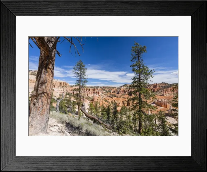Framed Print : View of hoodoo formations from the Fairyland Trail in Bryce Canyon National Park Framed Print : View of hoodoo formations from the Fairyland Trail in Bryce Canyon National Park