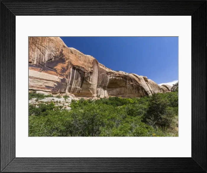 Framed Print : Navajo sandstone in Lower Calf Creek Falls Trail, Grand Staircase-Escalante National Monument Framed Print : Navajo sandstone in Lower Calf Creek Falls Trail, Grand Staircase-Escalante National Monument