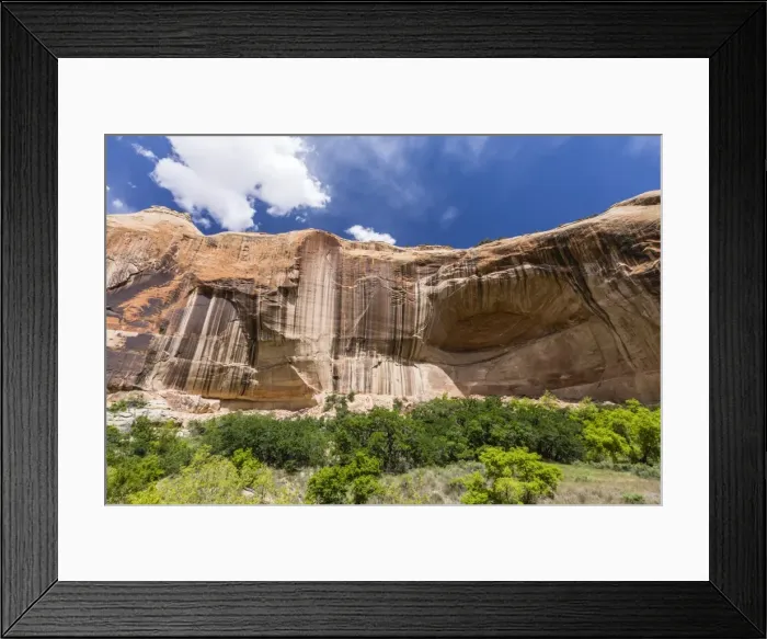 Framed Print : Navajo sandstone in Lower Calf Creek Falls Trail, Grand Staircase-Escalante National Monument Framed Print : Navajo sandstone in Lower Calf Creek Falls Trail, Grand Staircase-Escalante National Monument
