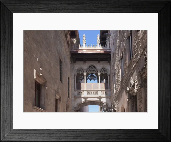 Framed Print : Pont del Bispe, bridge over Carrer del Bispe street, Palau de la Generalitat, Barri Gotic Framed Print : Pont del Bispe, bridge over Carrer del Bispe street, Palau de la Generalitat, Barri Gotic