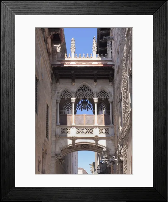Framed Print : Pont del Bispe, bridge over Carrer del Bispe street, Palau de la Generalitat, Barri Gotic Framed Print : Pont del Bispe, bridge over Carrer del Bispe street, Palau de la Generalitat, Barri Gotic