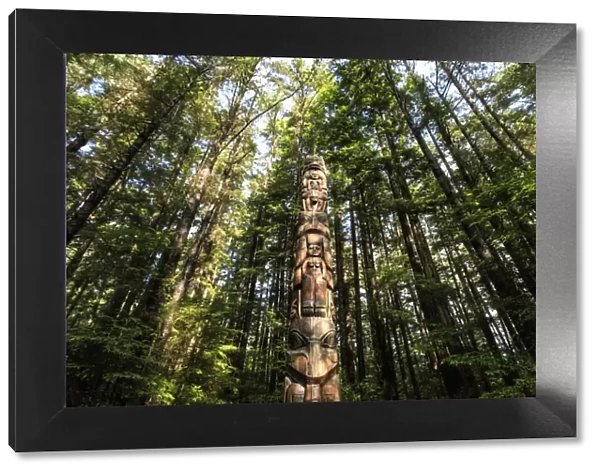 Lakich inei Pole, Tlingit totem pole, lit by sun in rainforest, Sitka National Historic Park