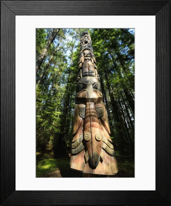 Framed Print : Lakich inei Pole, Tlingit totem pole, lit by sun in rainforest, Sitka National Historic Park Framed Print : Lakich inei Pole, Tlingit totem pole, lit by sun in rainforest, Sitka National Historic Park