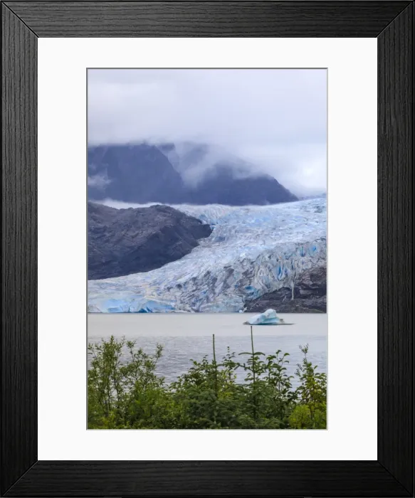 Framed Print : Mendenhall Glacier and Lake, with iceberg, bright blue ice, forest and mist, from Visitor Centre Framed Print : Mendenhall Glacier and Lake, with iceberg, bright blue ice, forest and mist, from Visitor Centre