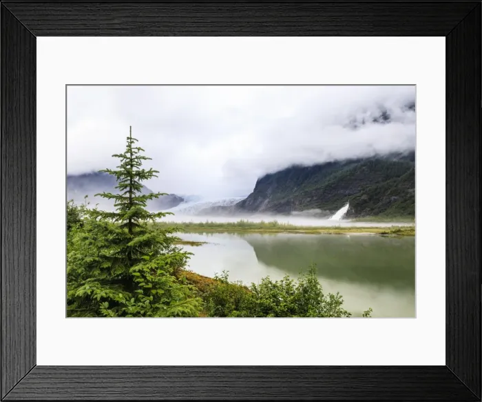 Framed Print : Forest mist and reflections, Mendenhall Glacier and Lake and Nugget Falls Cascade Framed Print : Forest mist and reflections, Mendenhall Glacier and Lake and Nugget Falls Cascade