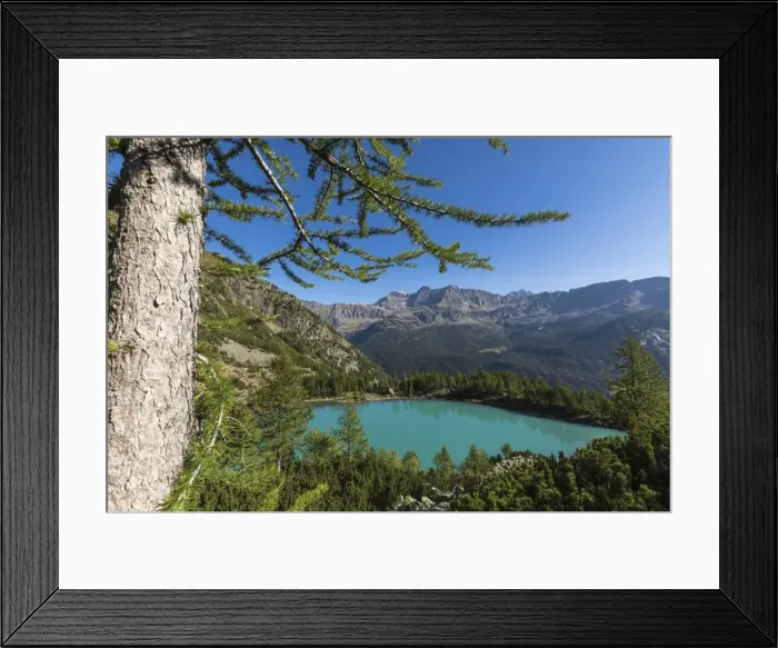 Framed Print : Lago Lagazzuolo surrounded by woods, Chiesa In Valmalenco, Province of Sondrio, Valtellina Framed Print : Lago Lagazzuolo surrounded by woods, Chiesa In Valmalenco, Province of Sondrio, Valtellina