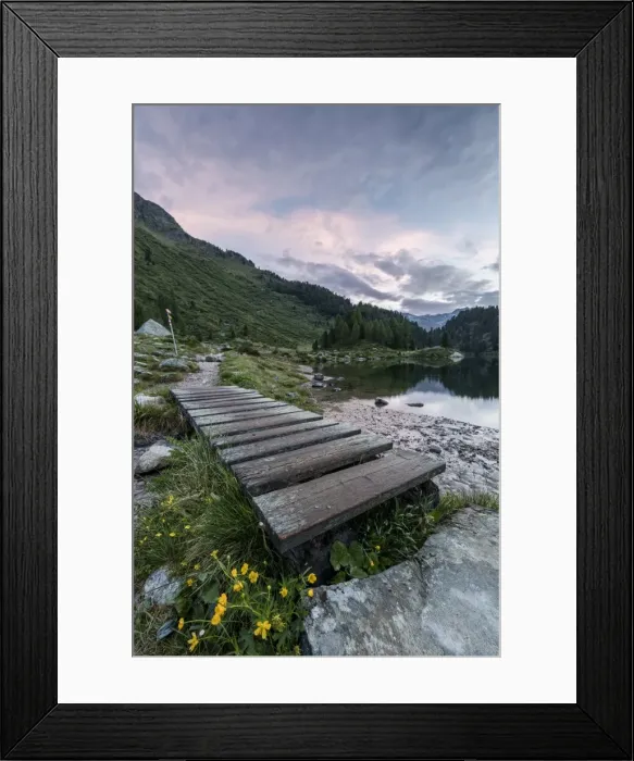 Framed Print : Wood walkway on the shore of Lake Cavloc, Maloja Pass, Bregaglia Valley, Engadine Framed Print : Wood walkway on the shore of Lake Cavloc, Maloja Pass, Bregaglia Valley, Engadine