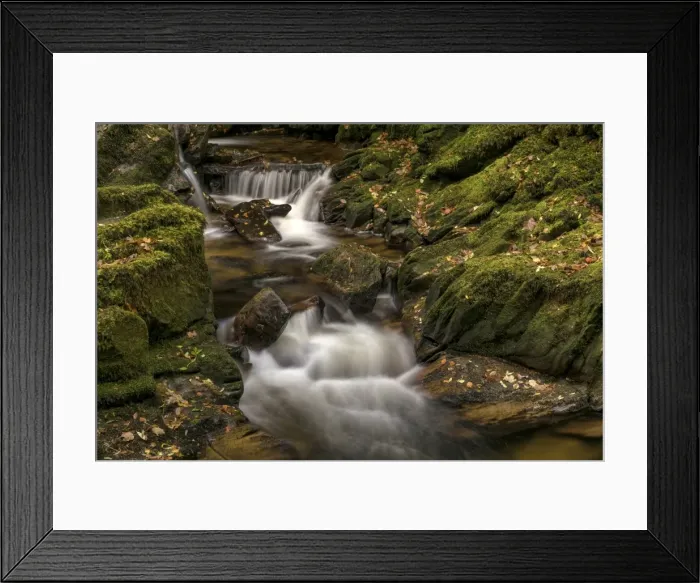 Framed Print : Owengarriff River, County Kerry, Munster, Republic of Ireland, Europe Framed Print : Owengarriff River, County Kerry, Munster, Republic of Ireland, Europe