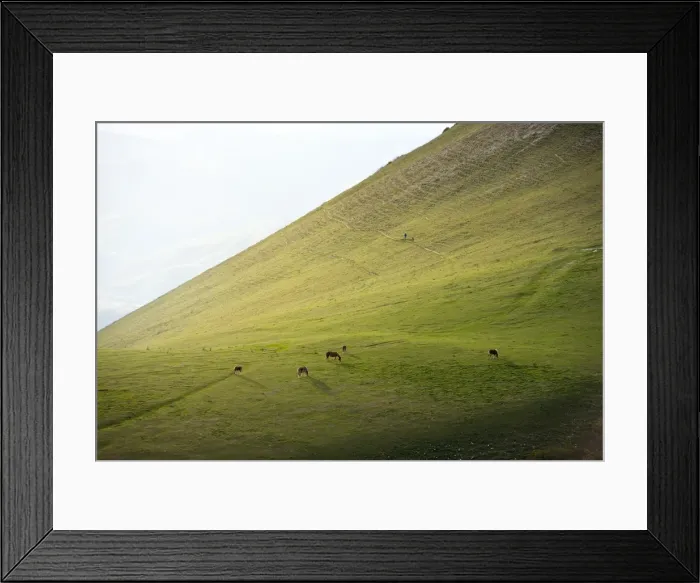 Framed Print : Horses in the fields at sunset, Monte Cucco Park, Apennines, Umbria, Italy, Europe Framed Print : Horses in the fields at sunset, Monte Cucco Park, Apennines, Umbria, Italy, Europe