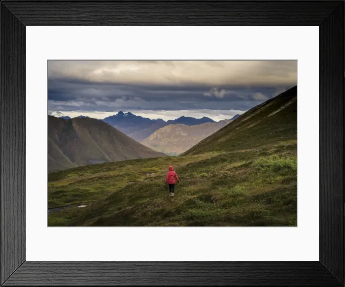 Framed Print : Lone hiker walks into Alaskan wilderness, Alaska, United States of America, North America Framed Print : Lone hiker walks into Alaskan wilderness, Alaska, United States of America, North America