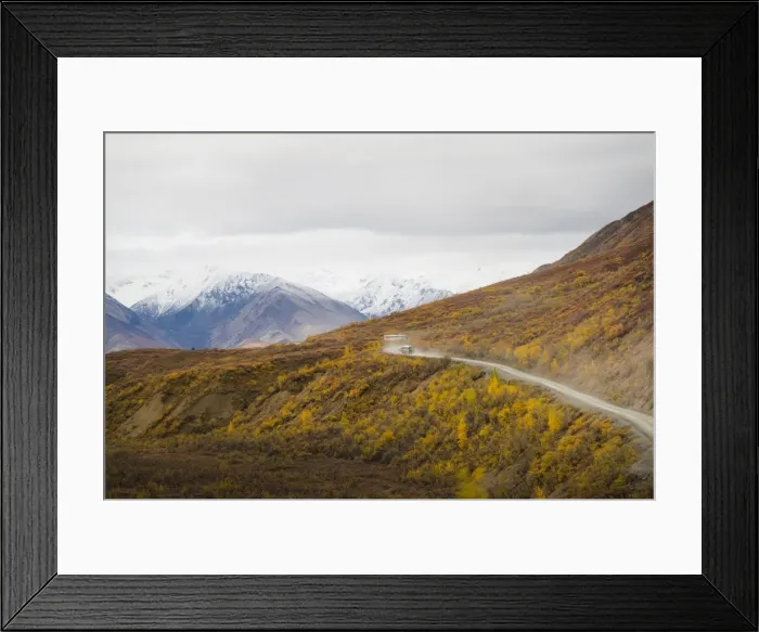 Framed Print : Camper buses driving into the heart of Denali National Park, Alaska, United States of America Framed Print : Camper buses driving into the heart of Denali National Park, Alaska, United States of America