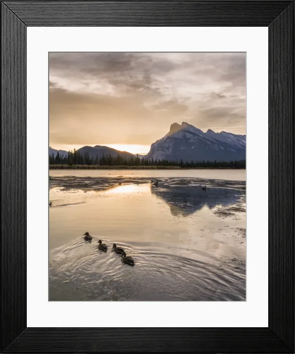 Framed Print : Morning landscape in the Vermilion Lakes, Banff National Park, UNESCO World Heritage Site Framed Print : Morning landscape in the Vermilion Lakes, Banff National Park, UNESCO World Heritage Site