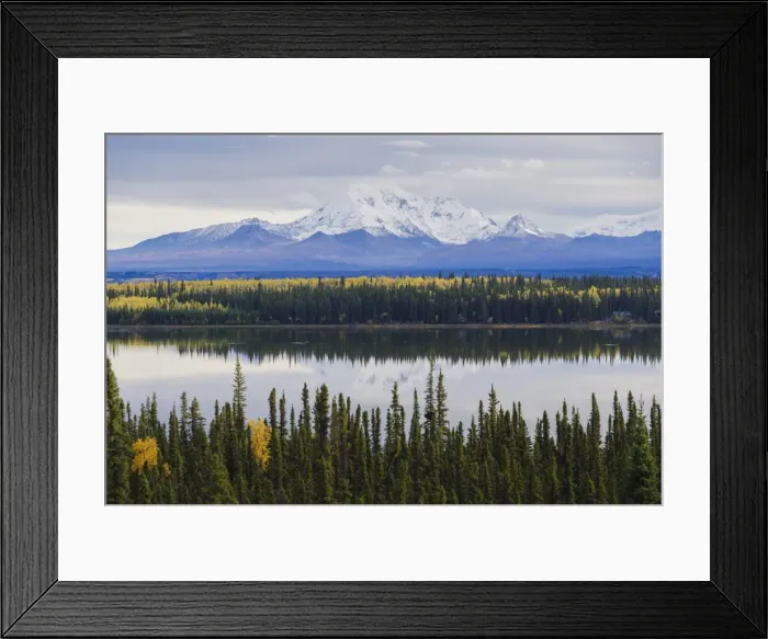 Framed Print : Wrangell-St. Elias National Park landscape from the Willow Lake, UNESCO World Heritage Site Framed Print : Wrangell-St. Elias National Park landscape from the Willow Lake, UNESCO World Heritage Site