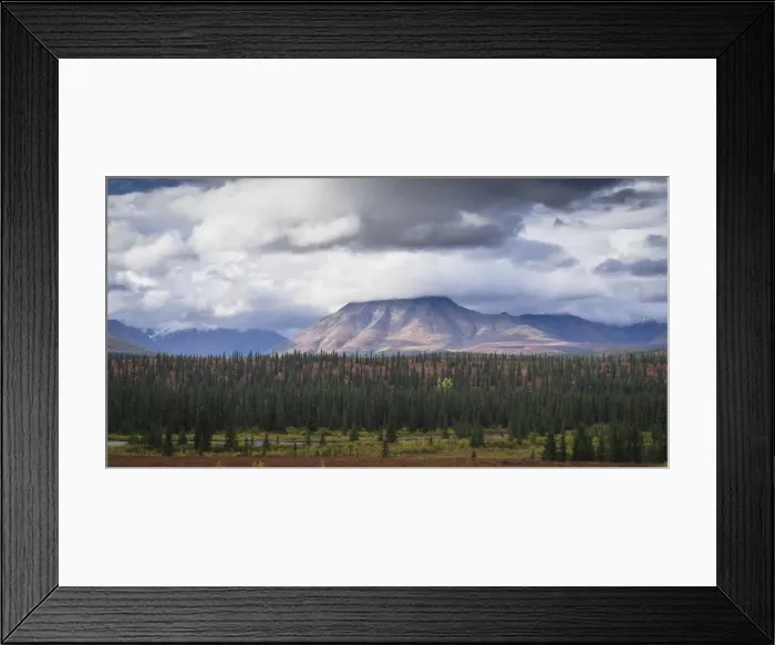 Framed Print : Mountain and forest landscape in Denali National Park, Alaska, United States of America Framed Print : Mountain and forest landscape in Denali National Park, Alaska, United States of America