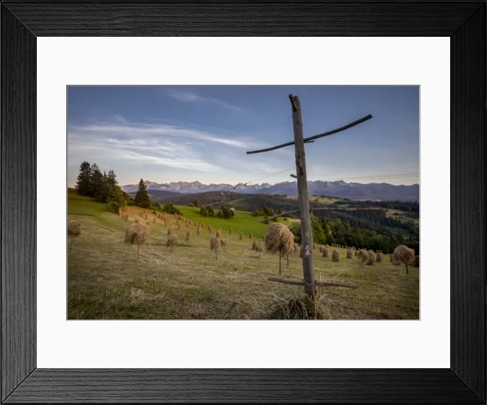 Framed Print : Hay stooks in foothills of Carpathian Mountains on outskirts of Bukowina Tatrzanska village Framed Print : Hay stooks in foothills of Carpathian Mountains on outskirts of Bukowina Tatrzanska village
