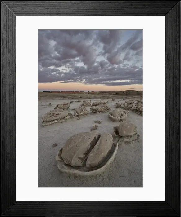 Framed Print : Egg Factory at dawn, Bisti Wilderness, New Mexico, United States of America, North Framed Print : Egg Factory at dawn, Bisti Wilderness, New Mexico, United States of America, North