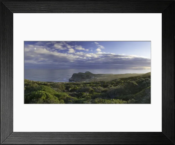 Framed Print : Cape of Good Hope, Cape Point National Park, Cape Town, Western Cape, South Africa Framed Print : Cape of Good Hope, Cape Point National Park, Cape Town, Western Cape, South Africa