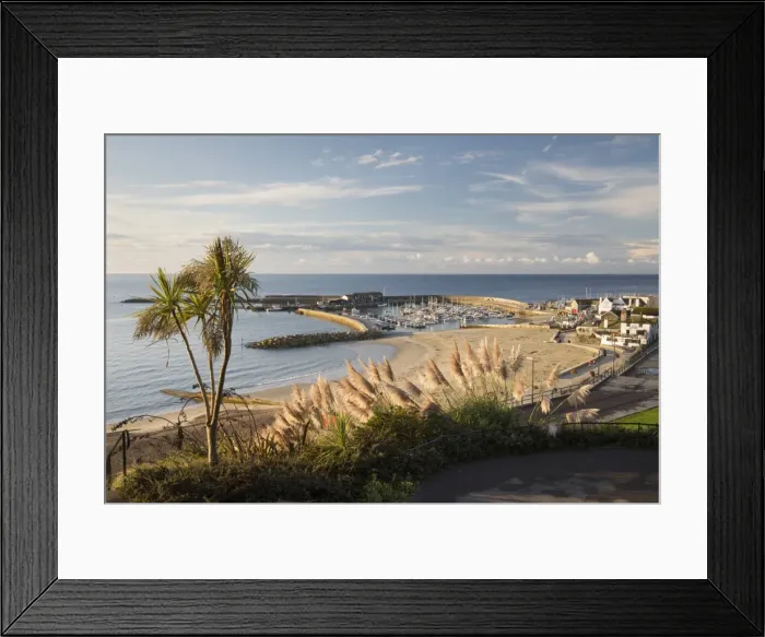 Framed Print : View over The Cobb and beach from Langmoor and Lister gardens, Lyme Regis, Dorset Framed Print : View over The Cobb and beach from Langmoor and Lister gardens, Lyme Regis, Dorset