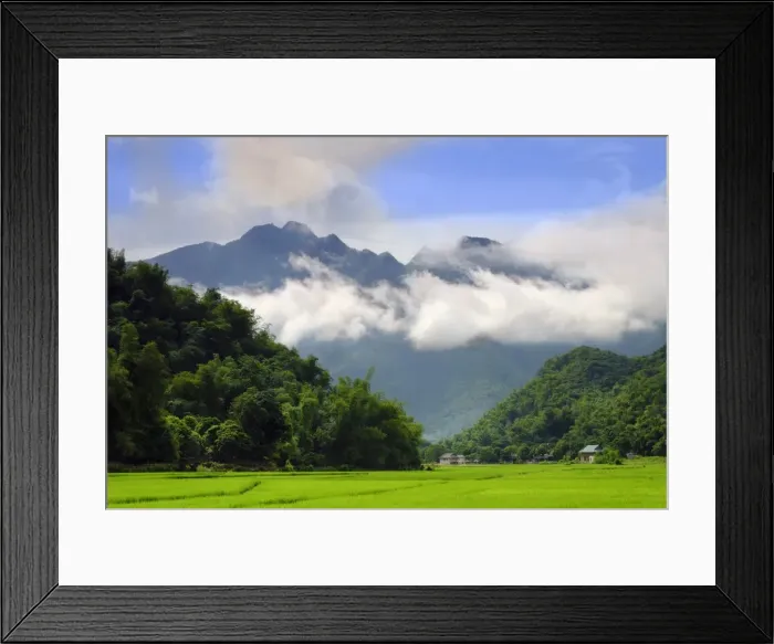 Framed Print : Thatched cottages and rice paddy fields with misty mountains behind, Mai Chau, Vietnam Framed Print : Thatched cottages and rice paddy fields with misty mountains behind, Mai Chau, Vietnam