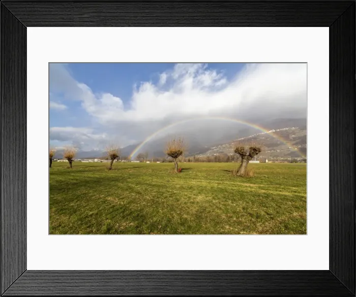 Framed Print : Rainbow on bare trees, Cosio Valtellino, Sondrio province, Valtellina, Lombardy, Italy Framed Print : Rainbow on bare trees, Cosio Valtellino, Sondrio province, Valtellina, Lombardy, Italy