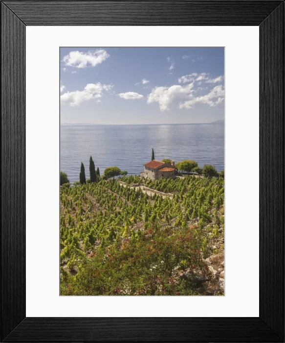 Framed Print : Farmhouse and cultivated fields overlooking the sea, Pomonte, Marciana, Elba Island Framed Print : Farmhouse and cultivated fields overlooking the sea, Pomonte, Marciana, Elba Island