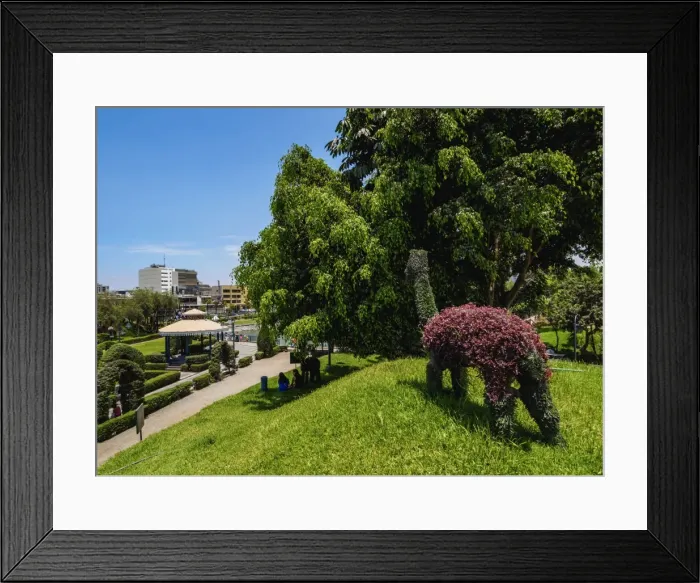 Framed Print : Green Llama in Parque de la Amistad (Friendship Park), Santiago de Surco District Framed Print : Green Llama in Parque de la Amistad (Friendship Park), Santiago de Surco District