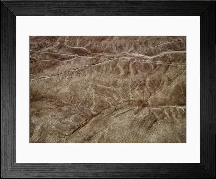 Framed Print : The Monkey Geoglyph, aerial view, Nazca, UNESCO World Heritage Site, Ica Region, Peru Framed Print : The Monkey Geoglyph, aerial view, Nazca, UNESCO World Heritage Site, Ica Region, Peru