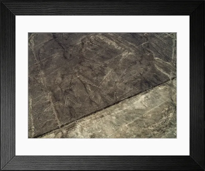 Framed Print : The Heron Geoglyph, aerial view, Nazca, UNESCO World Heritage Site, Ica Region, Peru Framed Print : The Heron Geoglyph, aerial view, Nazca, UNESCO World Heritage Site, Ica Region, Peru